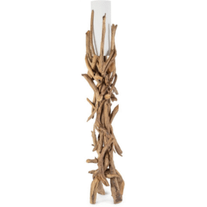PIANTANA ACE BIANCO